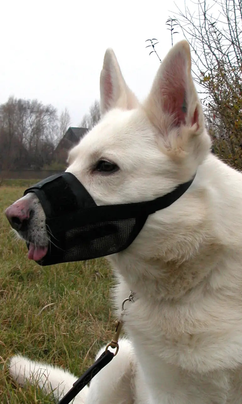 دوغمان - قطعة فم قابلة للتعديل - أسود - كبير