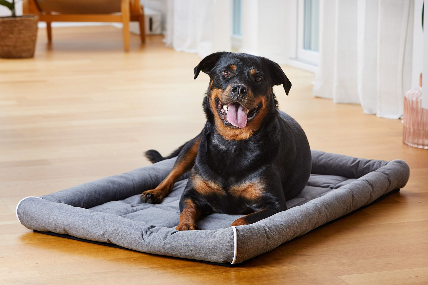 Dogman Cushion Buddy with edge - Gray - different sizes