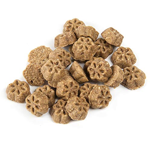 طعام فروتابلز بنكهة اليقطين والتوت - ١٤١ غرام