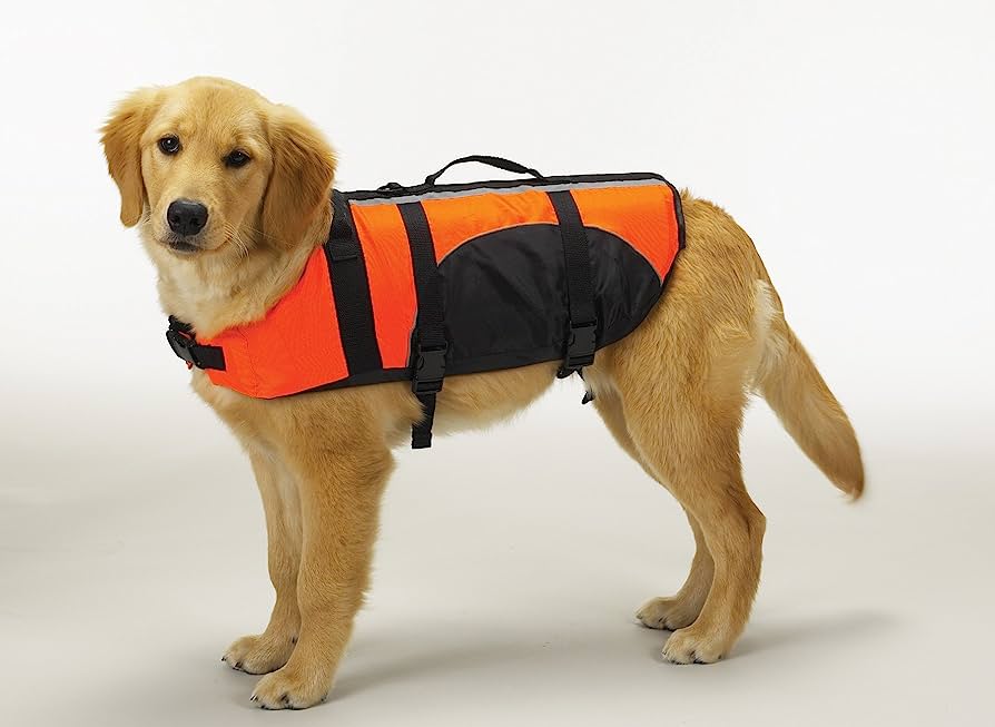 Guardian Gear Aquatic Pet Preserver - M - Orange