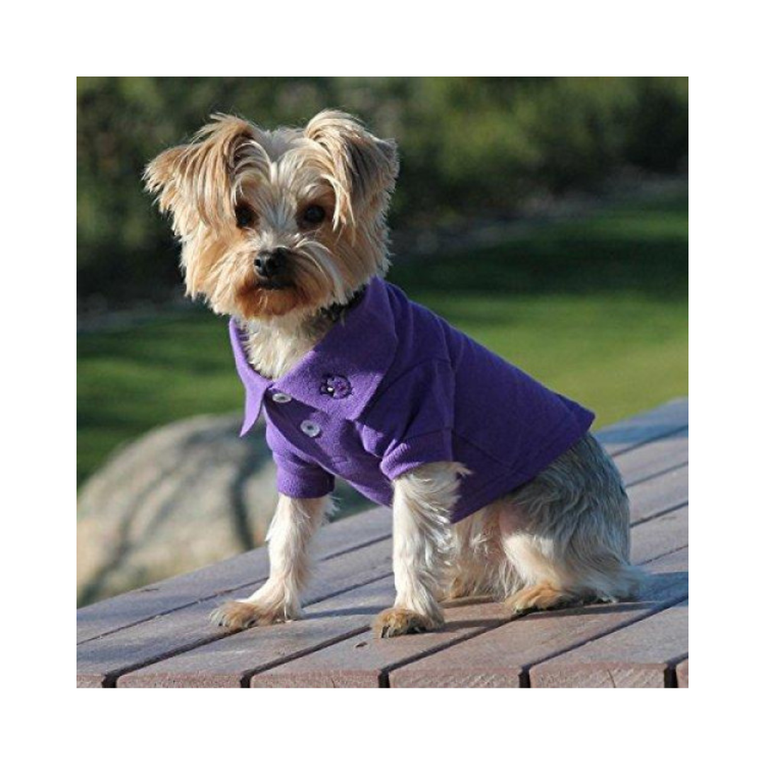 Zack & Zoey-Polo ShirtSolid - Ultra Violet