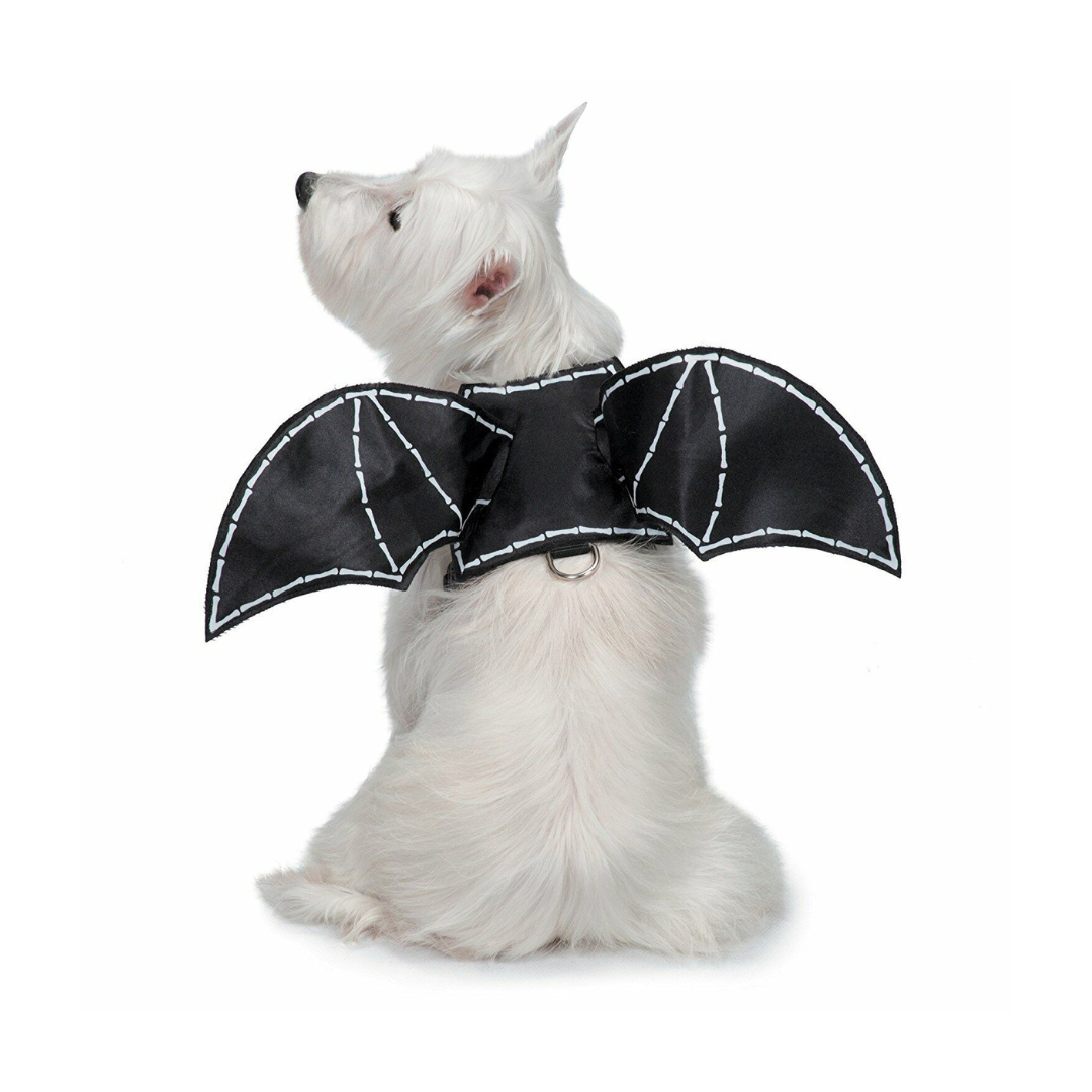 زي زاك وزوي بأجنحة الخفاش المضيء في الظلام للكلاب مقاس أكس لارج