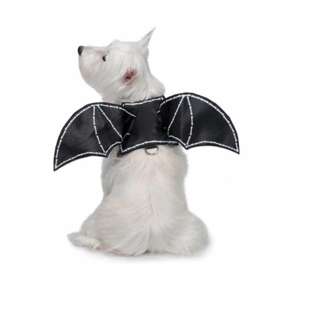 زي زاك وزوي أجنحة الخفاش المتوهجة في الظلام للكلاب مقاس لارج