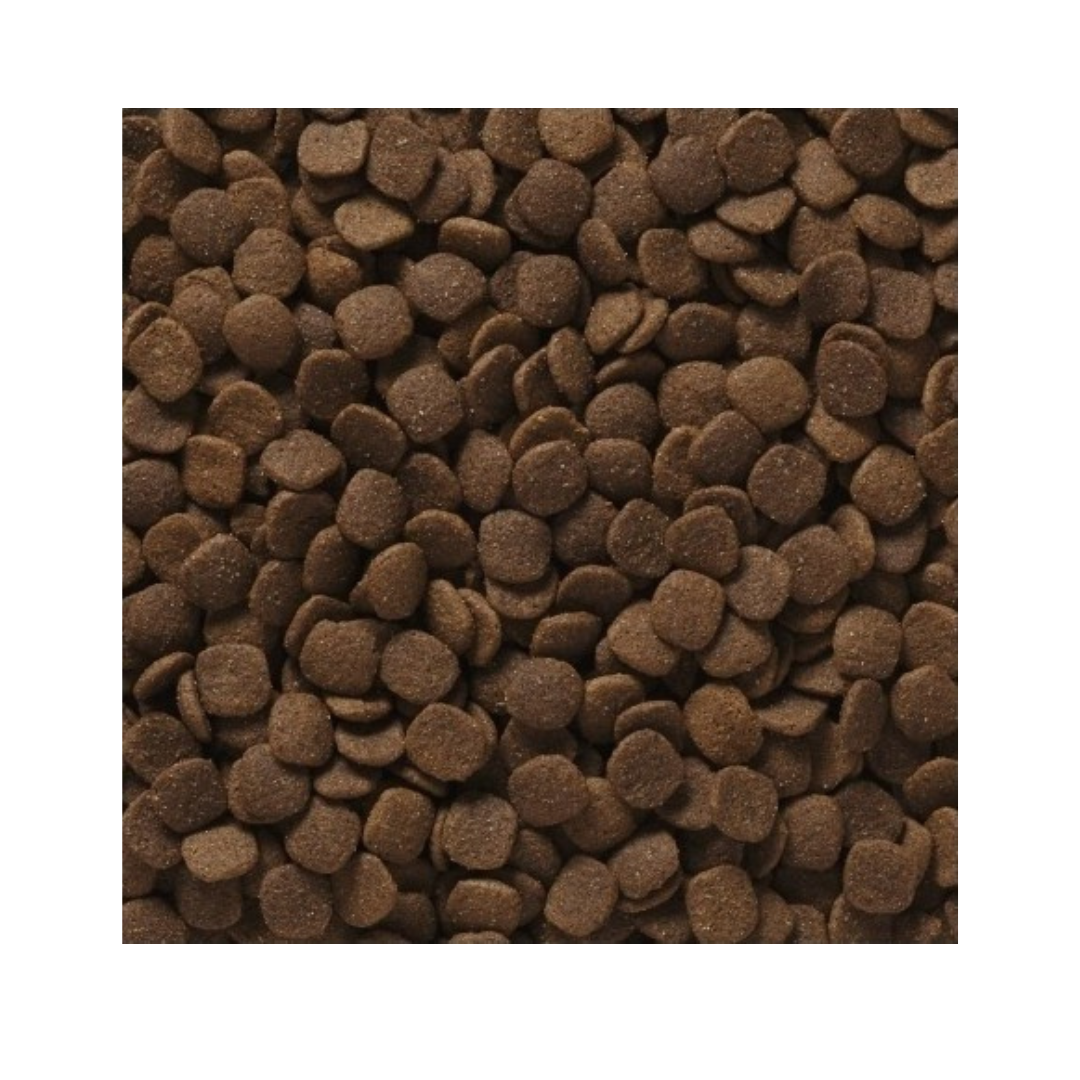 Ultimates Large Breed Adult Chicken Meal & Rice 18.1 kg