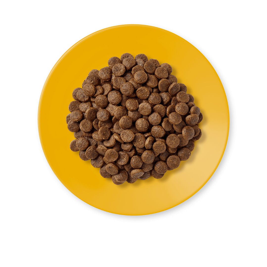 Applaws Dried Dry Food Cat Chicken/Duck 2Kg