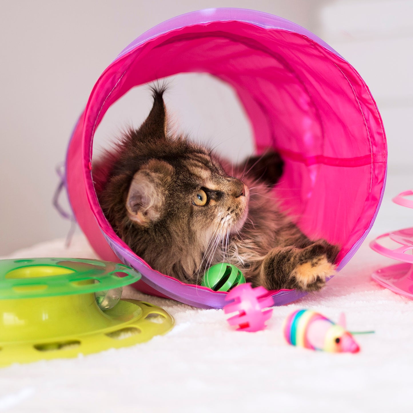 Dogman -Toy Tunnel 38 cm