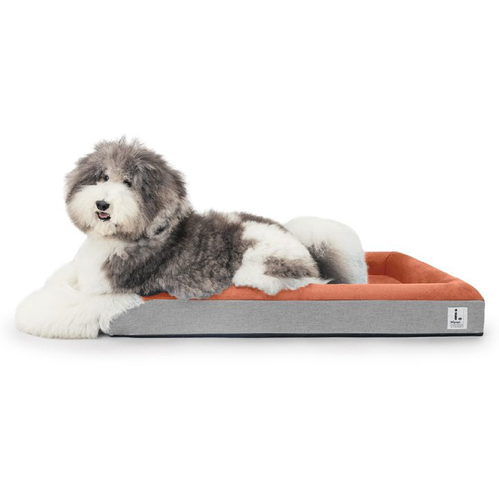 Ibiyaya-Deep Sleep Ortho Dog Bed XL - Brick Red
