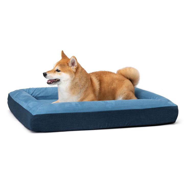 Ibiyaya-Deep Sleep Ortho Dog Bed L - Royal Blue