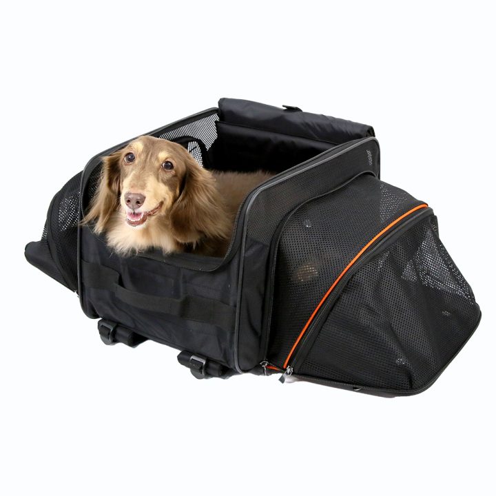 Ibiyaya-JetPaw: Expandable in-cabin pet backpack - Obsidian/Orange