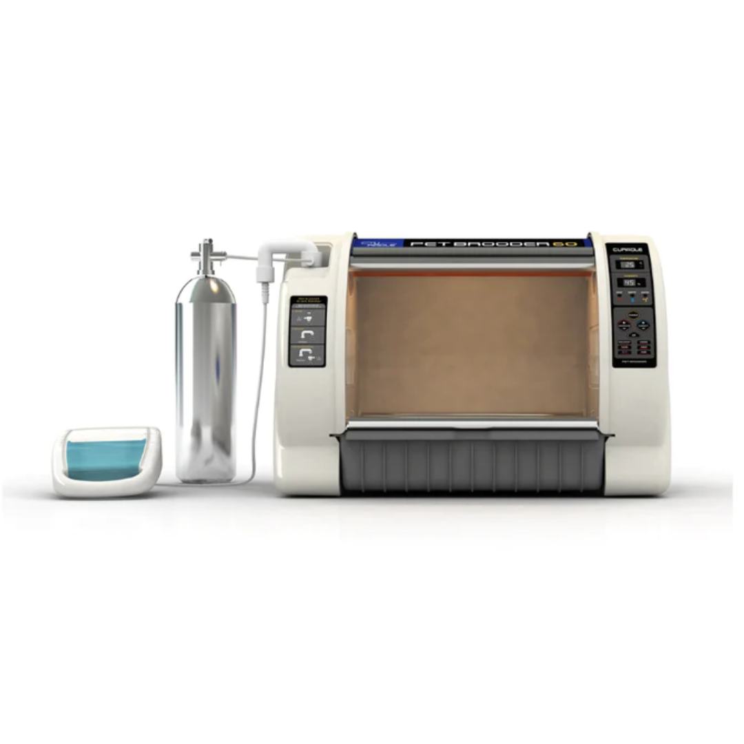 Rcom PET Brooder 60 Neb