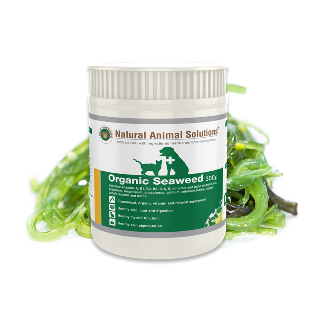 NAS Organic Seaweed 300g