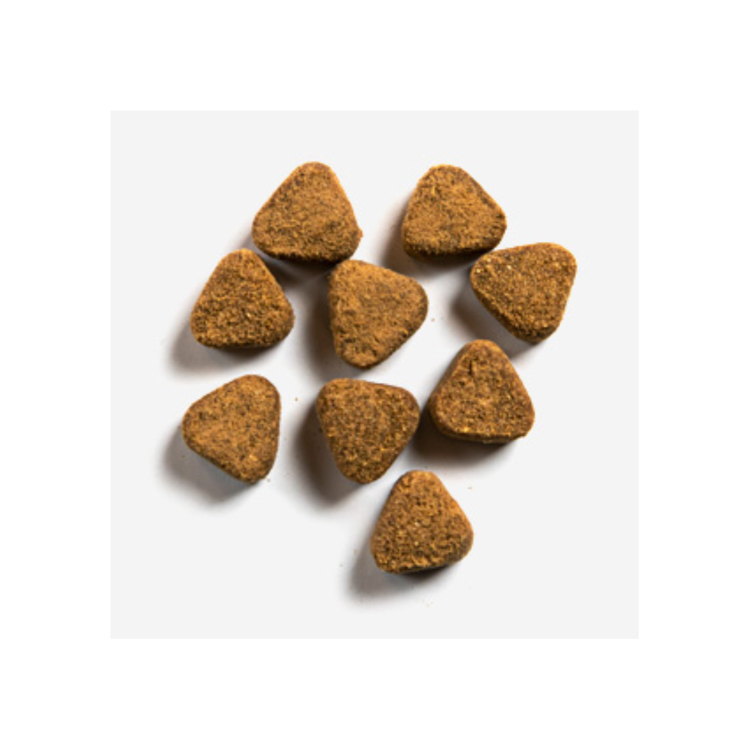 Nutri-vet Pet Ease Soft Chews For Dogs 65 Count