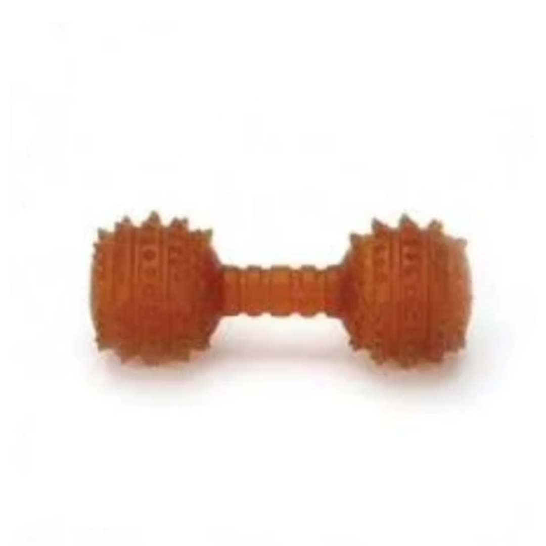 PetEdge-PW EcoToys EcoDumbellIS