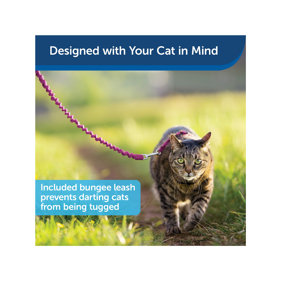 DogMan-Cat harness Findus Purple (120cm×10mm)