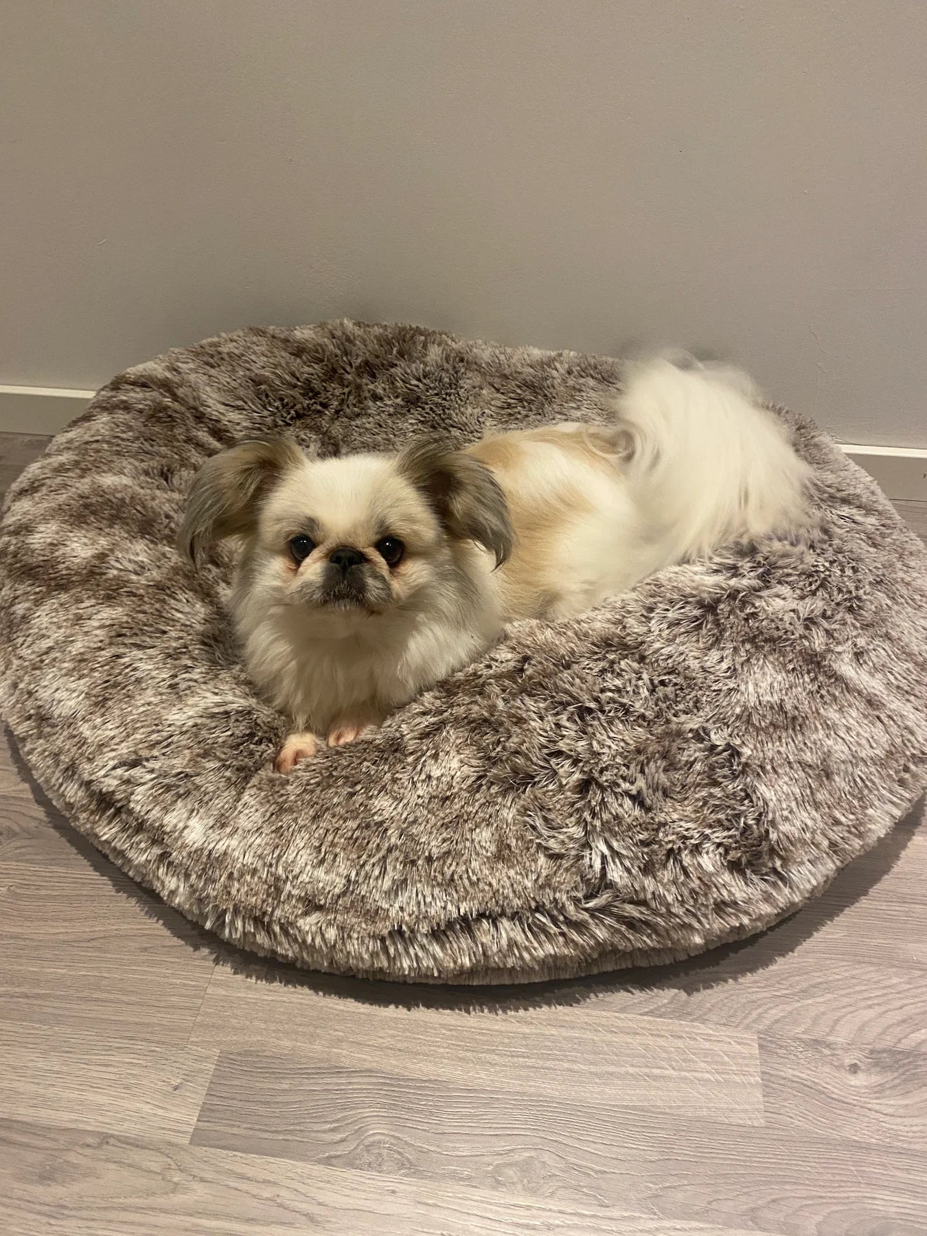 Dogman Fluffy Memory foam bed - Beige - different sizes