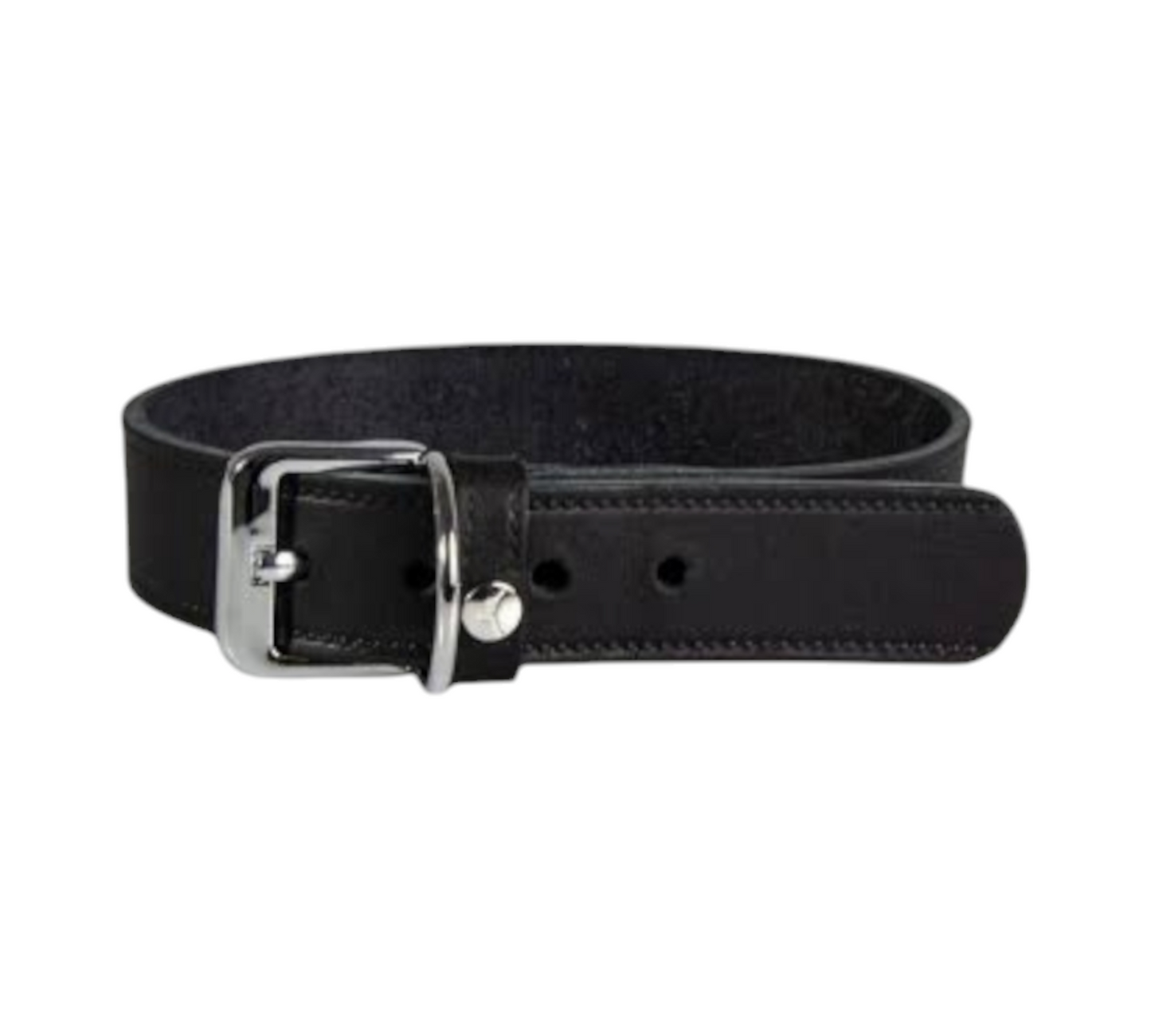 طوق الكلب داس ليدرباند فاينهايم باللون الأسود