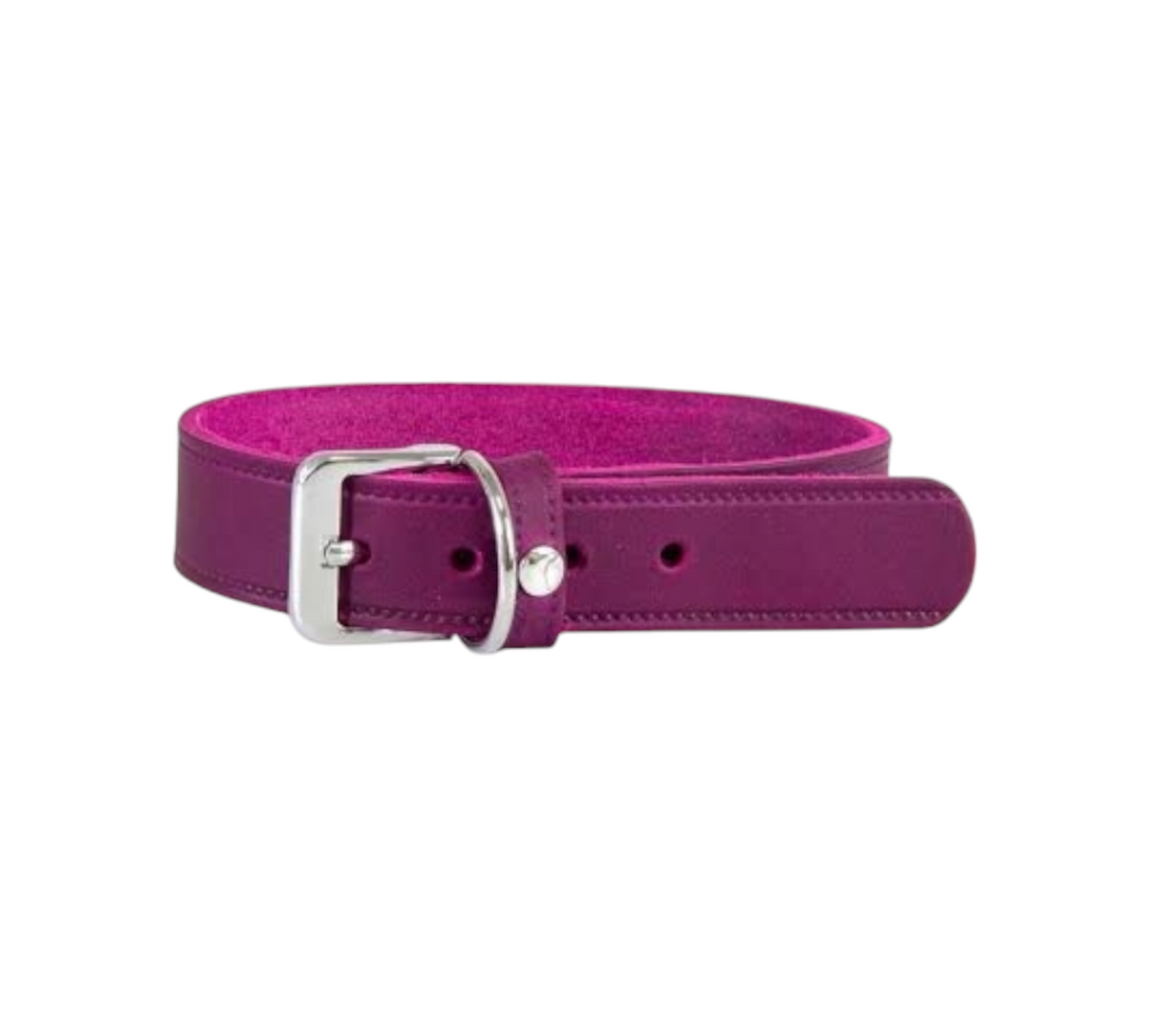 Das Lederband Dog Collar Weinheim Violet