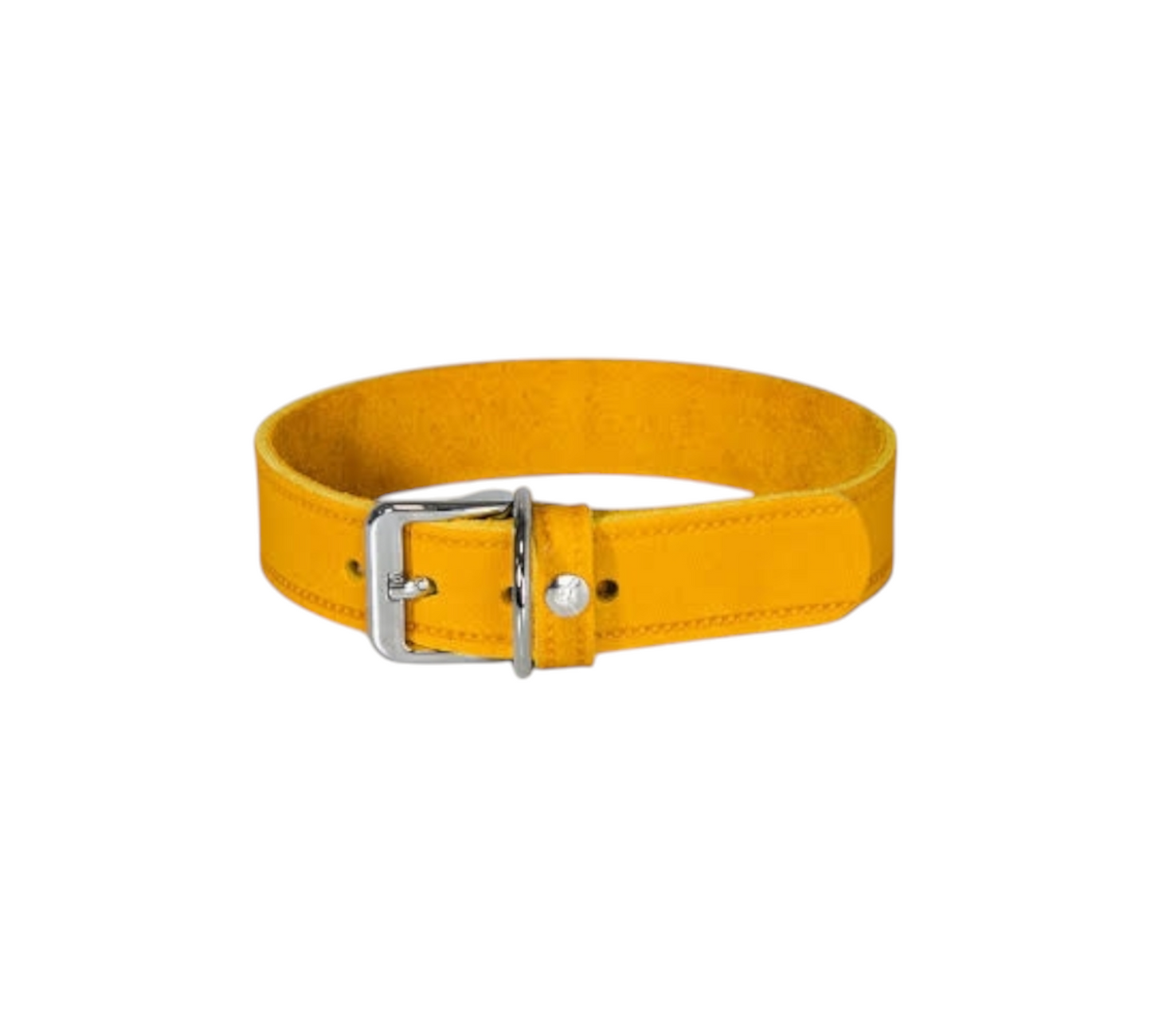 Das Lederband Dog Collar Weinheim Yellow