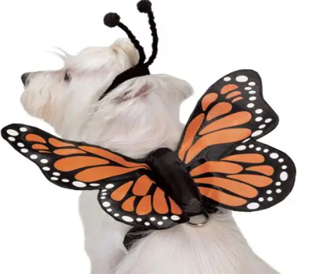 Butterfly Glow Harness Costume X-Large