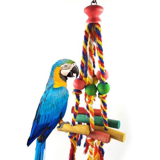 VanPet Bird Toys-03350