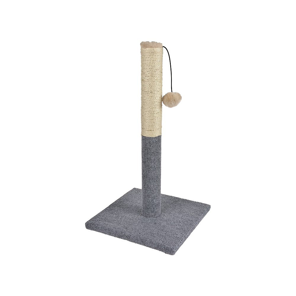 إم-بيتس خداشة قطط كوليبرا