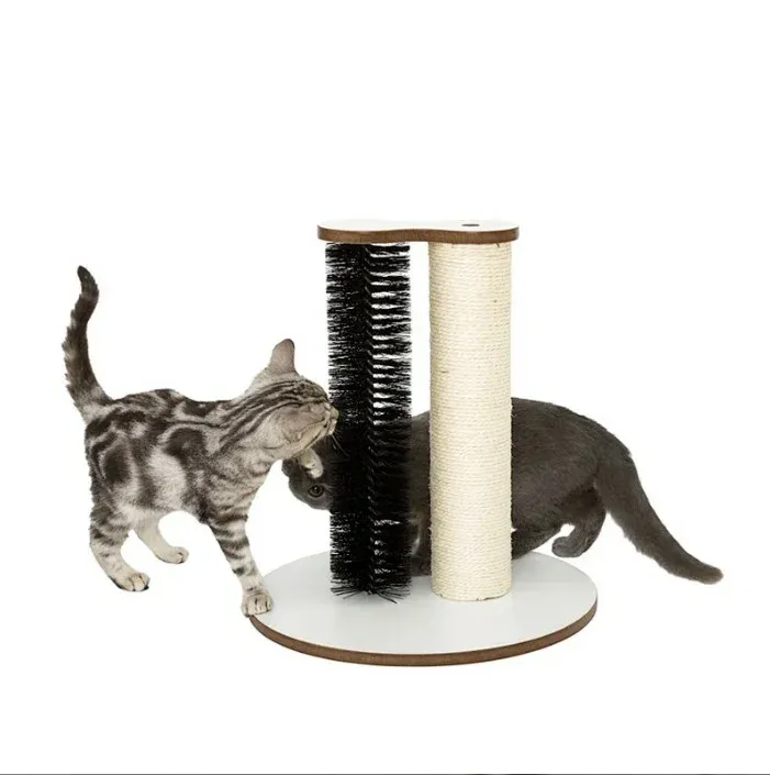 فان بلاي مركز الخدش لكل من اللعب النشط والاسترخاء