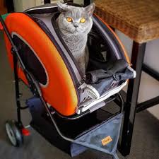 Ibiyaya 5-in-1 Combo EVA Pet Carrier & Stroller - 7.2kg - Apple Green