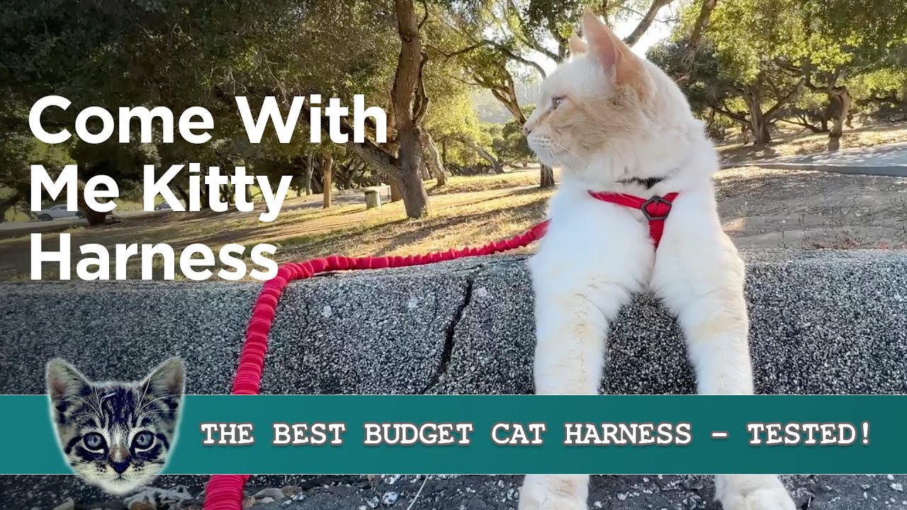 DogMan-Cat harness Findus pink (120cm×10mm)