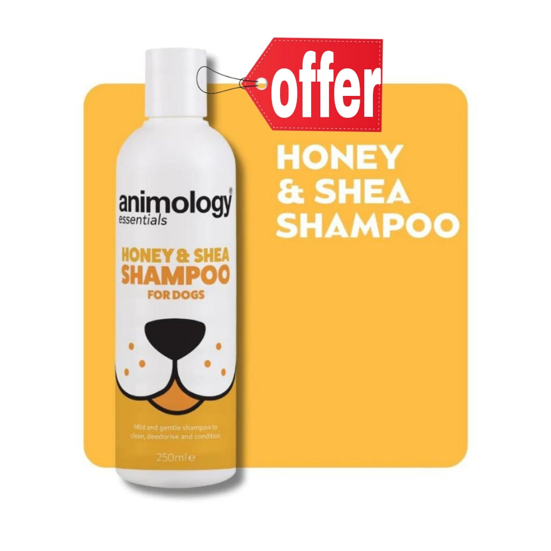 Animology Essentials Honey & Shea Shampoo 250ml