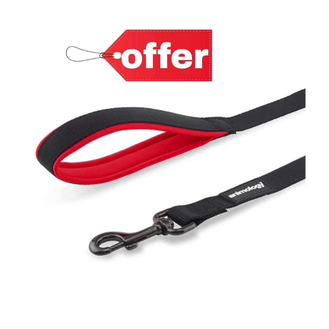 Animology Padded Handle Lead - Red