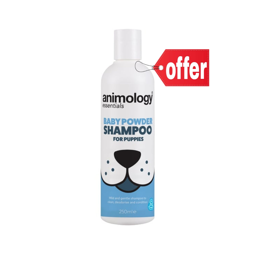 أنيمولوجي إسينشالز شامبو بودرة الأطفال - 250 مل