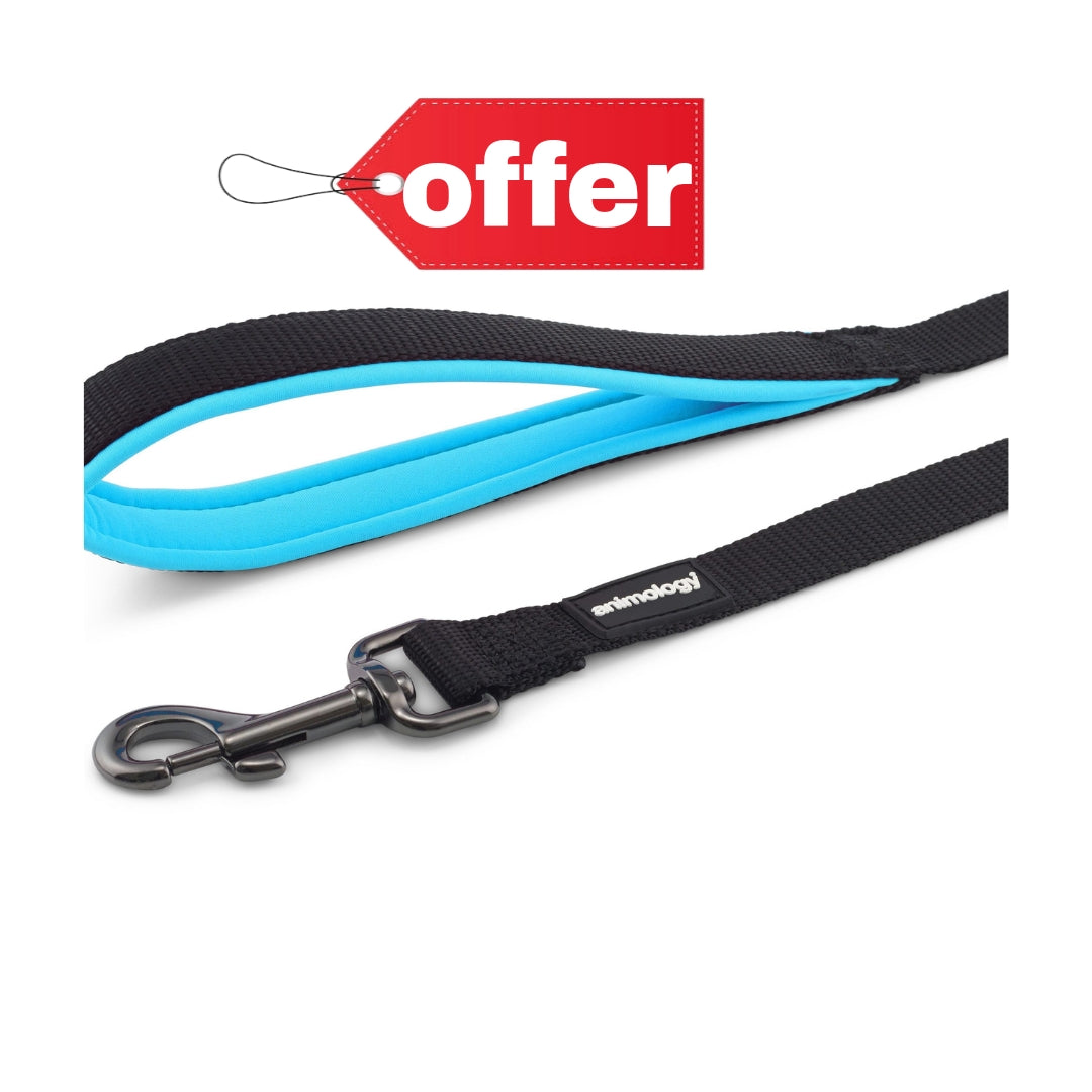 أنيمولوجي مقبض مبطن مصنوع من الرصاص - أزرق