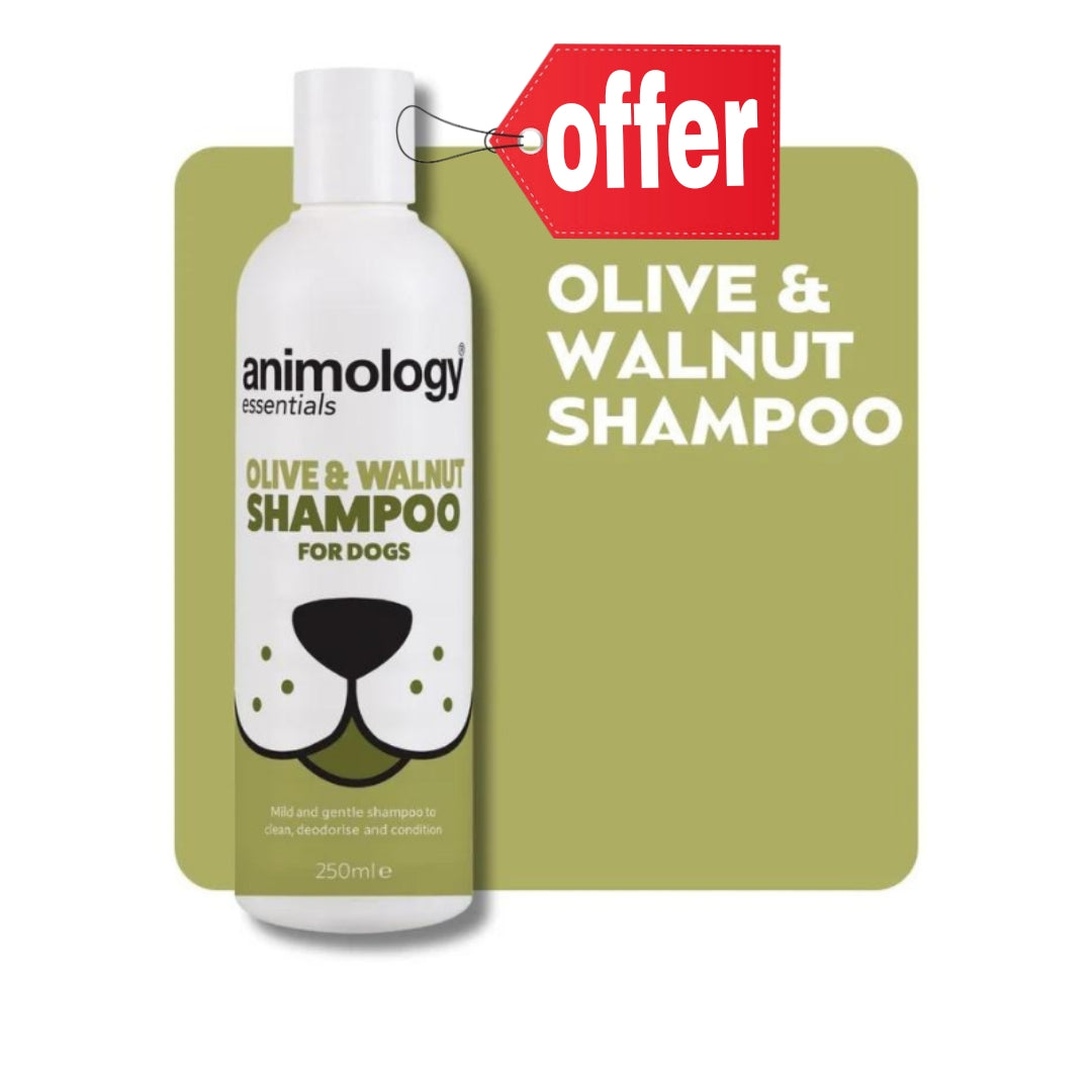 Animology Essentials Olive & Walnut Shampoo 250ml