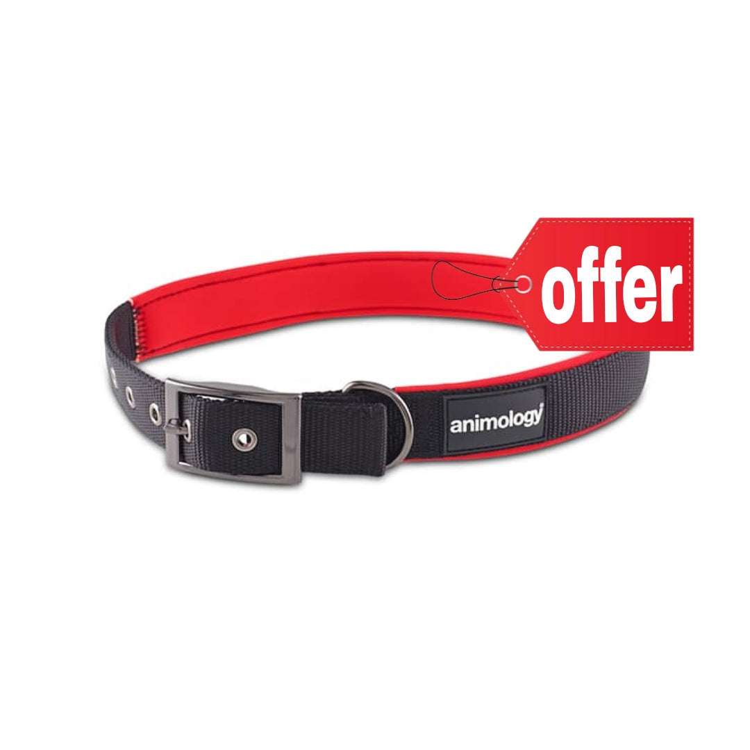 Animology Padded Buckled Collar – Red