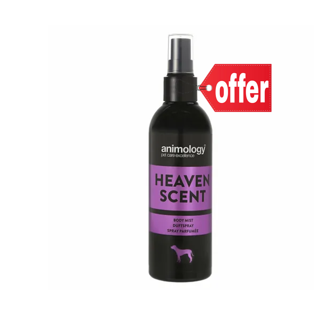 أنيمولوجي - معطر جسم برائحة الجنة 150 مل