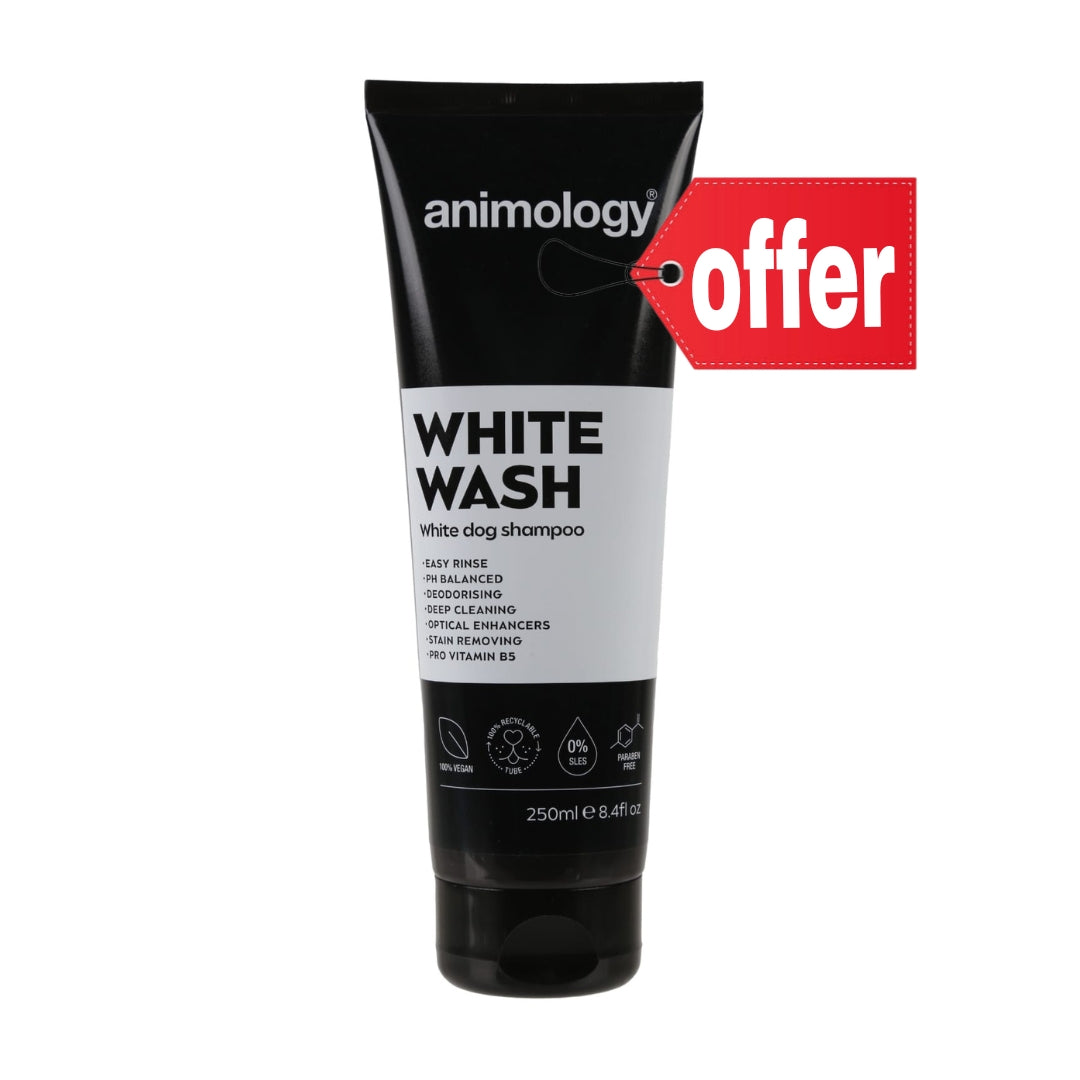 أنيمولوجي شامبو وايت ووش -250 مل، 2.5 لتر (أحجام مختلفة)
