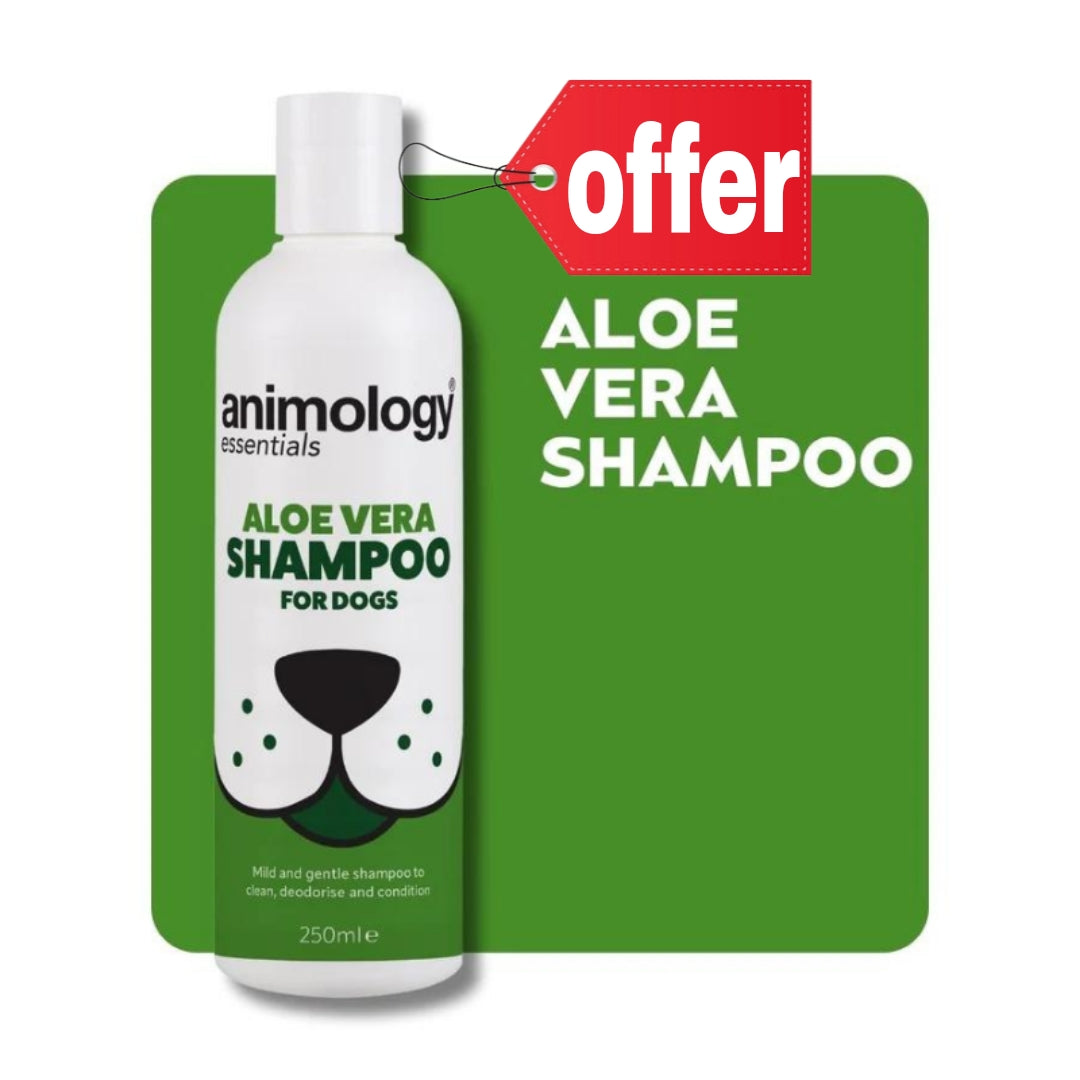Animology Essentials Aloe Vera Shampoo 250ml