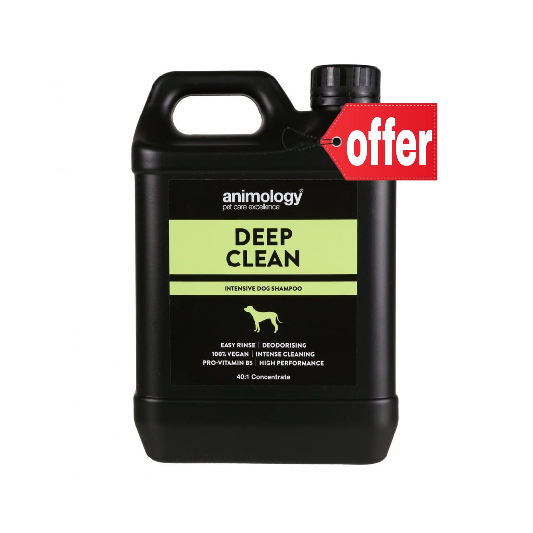 أنيمولوجي - شامبو التنظيف العميق 250 مل - 2.5 لتر (أحجام مختلفة)