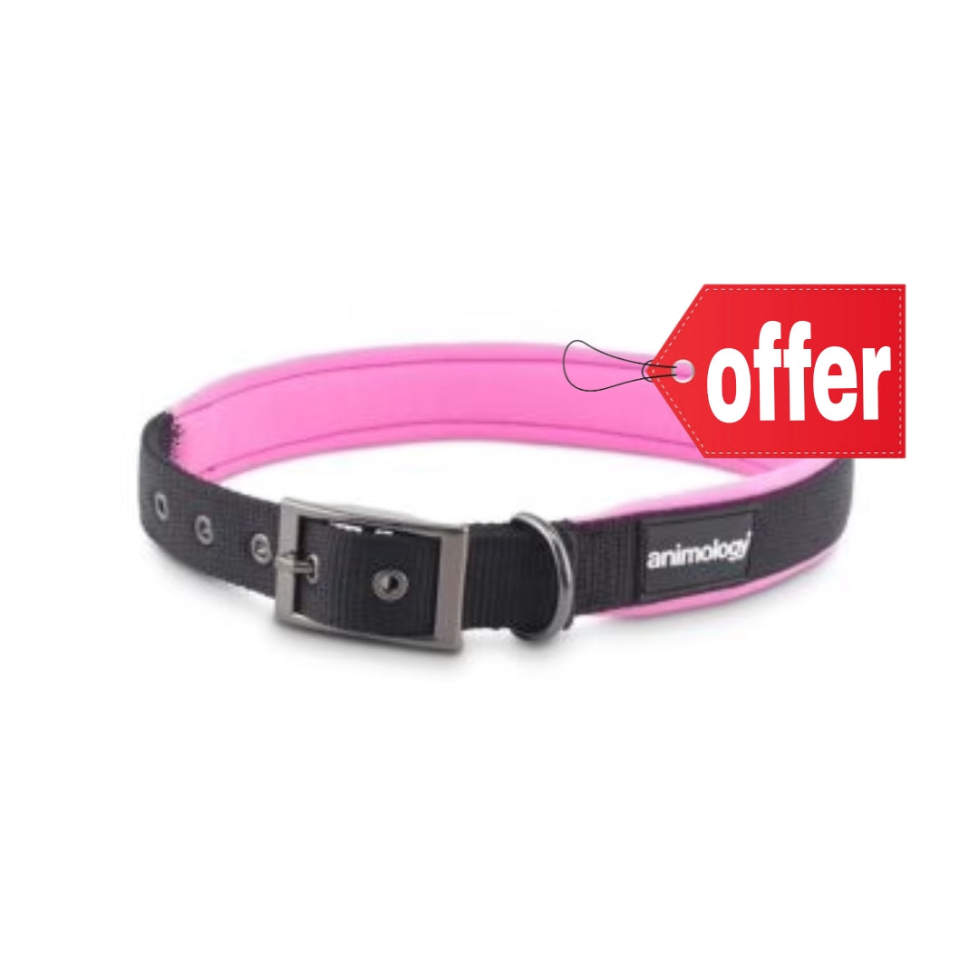 Animology Padded Buckled Collar – Pink