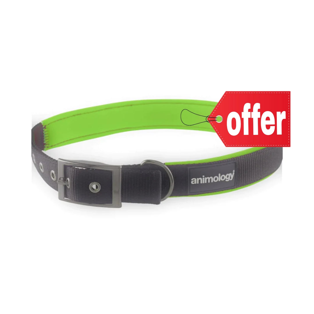 Animology Padded Buckled Collar – Green