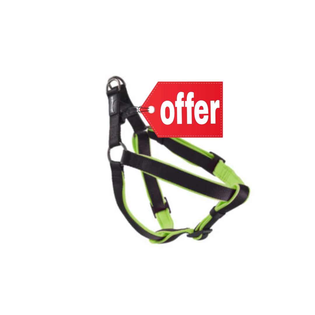 Animology Padded Harness – Green