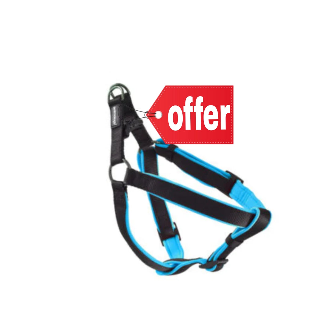 Animology Padded Harness – Blue