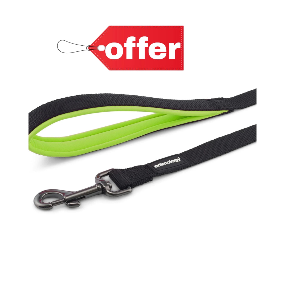 أنيمولوجي مقبض مبطن مصنوع من الرصاص - أخضر