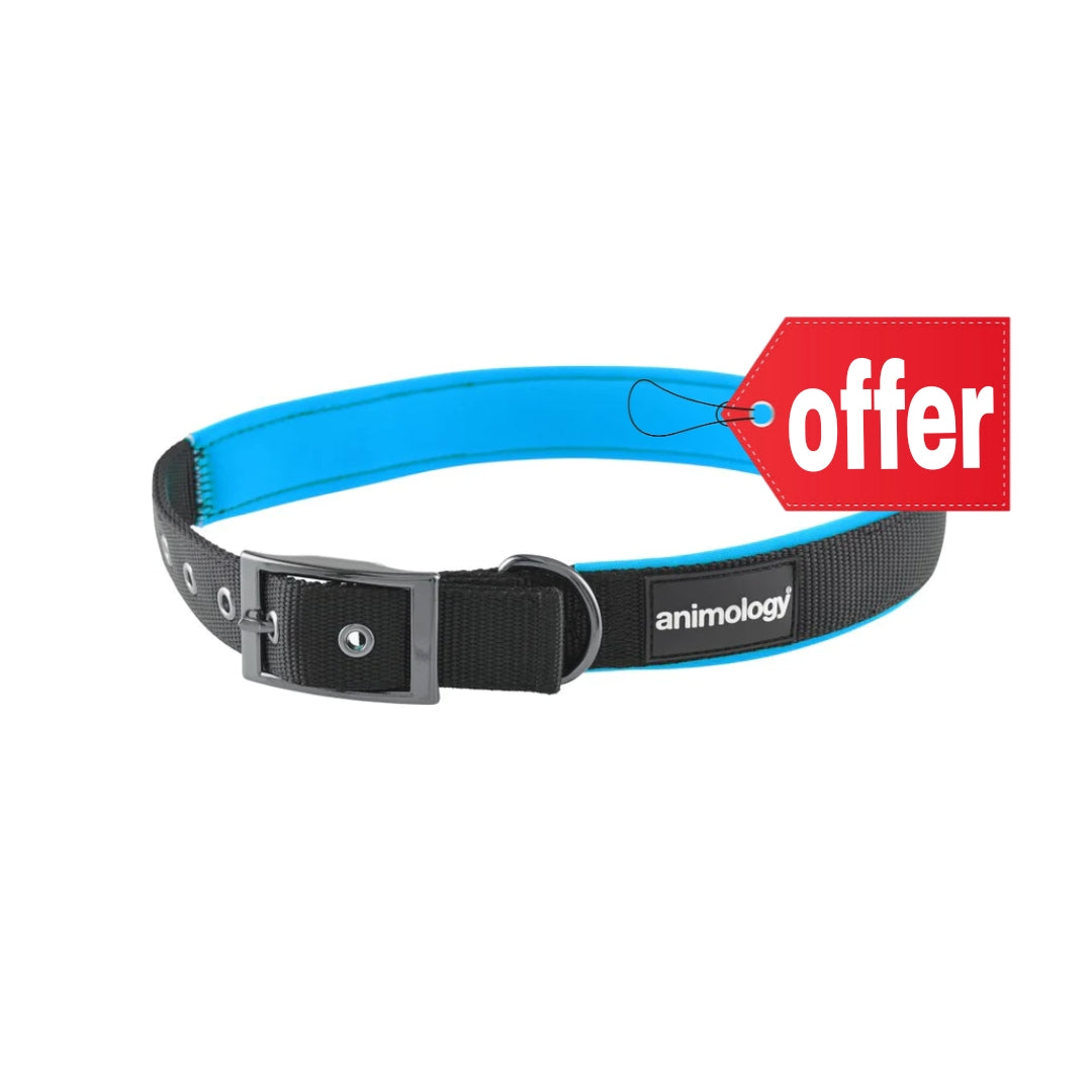Animology Padded Buckled Collar - Blue