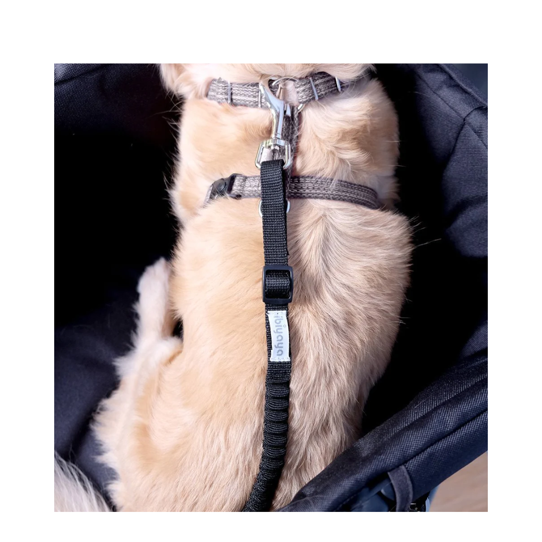 إيبيايا-نو شوك! رباط تمديد/ربط عربة أطفال بنجي - أسود