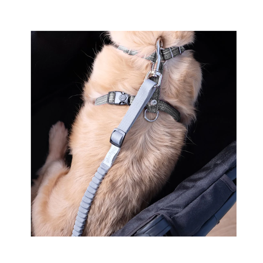 إيبيايا - لا صدمة! رباط مطاطي لعربة الأطفال بطول ٣٠-٥٠ سم - رمادي