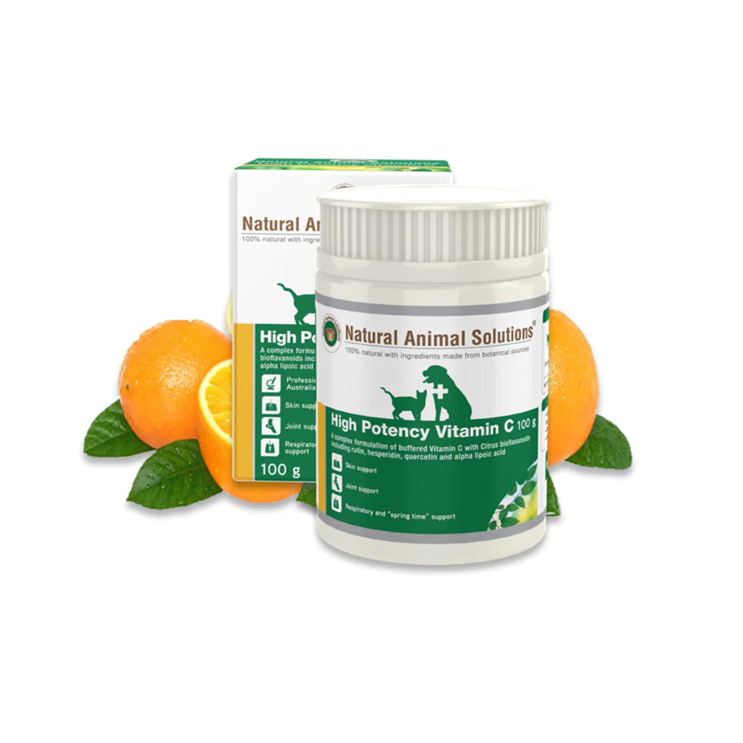 NAS High Potency Vitamin C 100 g