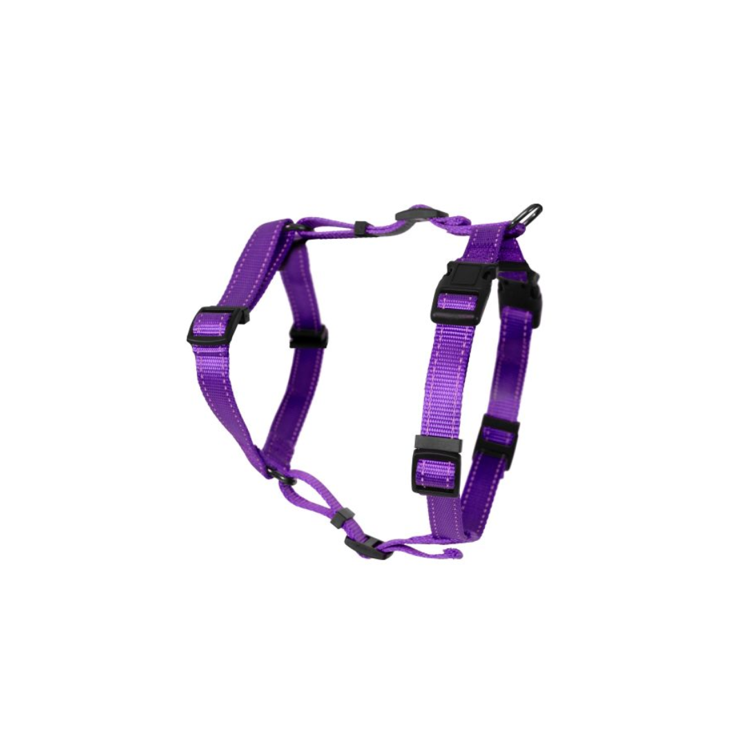 Dogman H-harness Iris Prpl