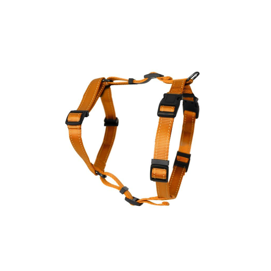 Dogman H-harness Iris Org