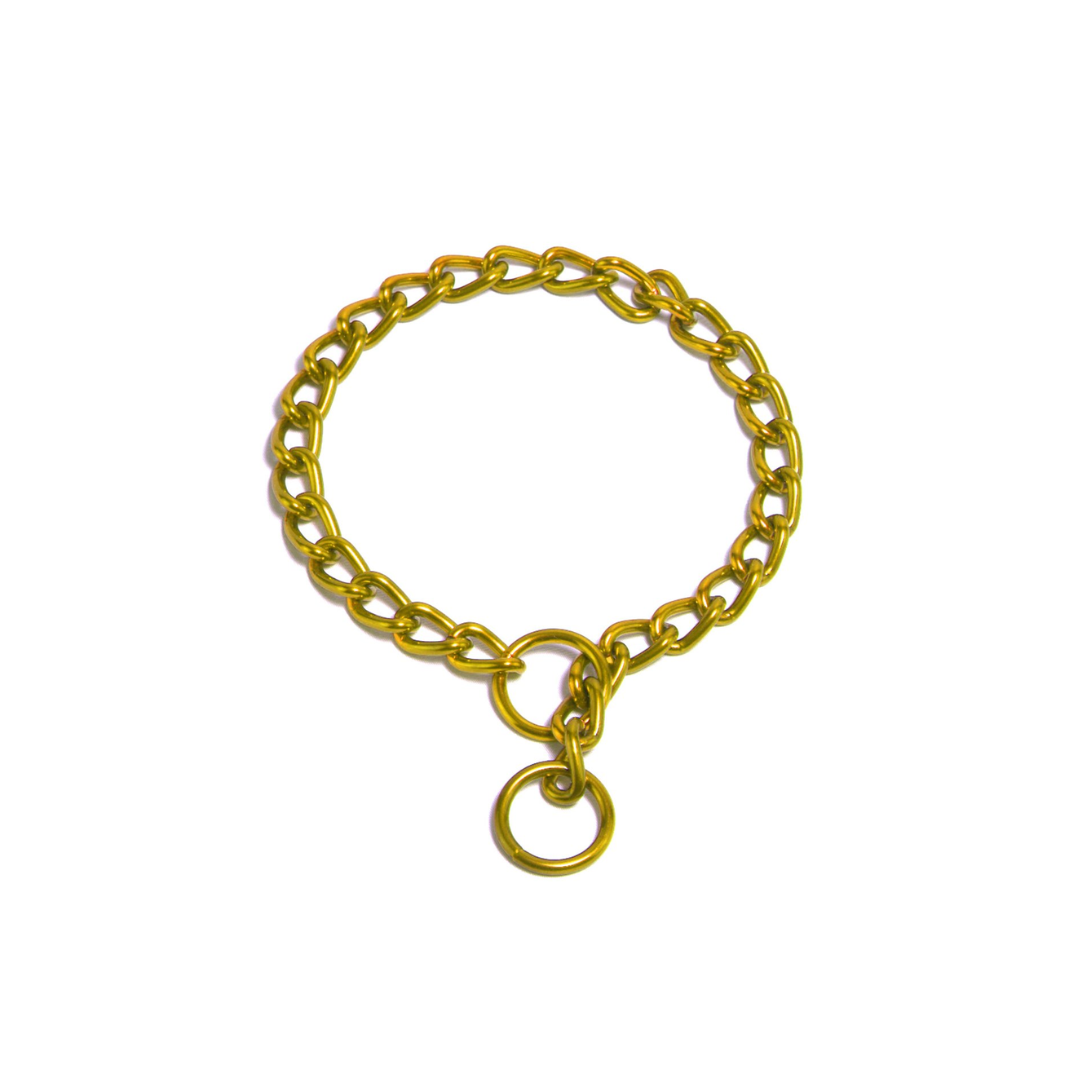 طوق بلاتينيوم بيتس للحيوانات الأليفة لون ذهبي تدريب بسلسلة واحدة مقاس 2.5 مم × 16 بوصة